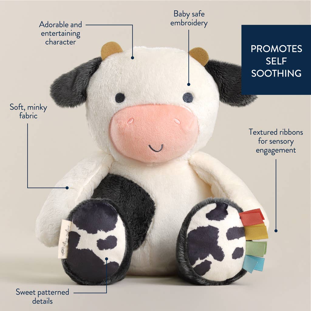 Sweetie Snuggles™ Plushies