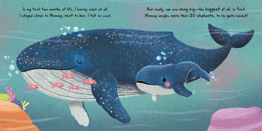 Nature Stories: Little Whale by IglooBooks