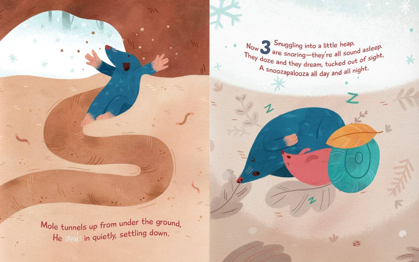 Snoozapalooza Board Book