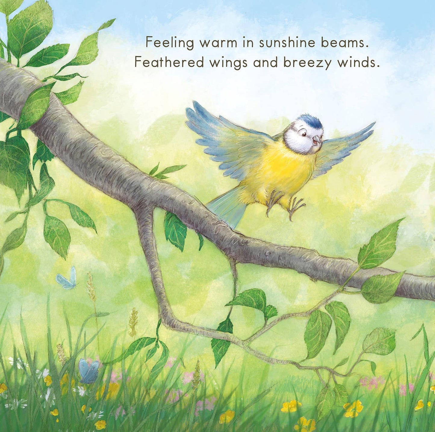 Welcome to the World Picture Book