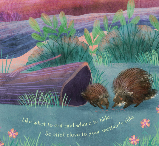 You are Mine, Porcupine Picture Book