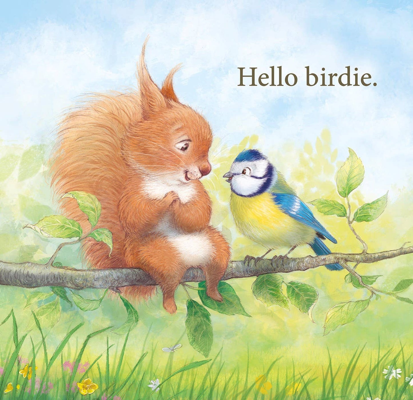 Welcome to the World Picture Book