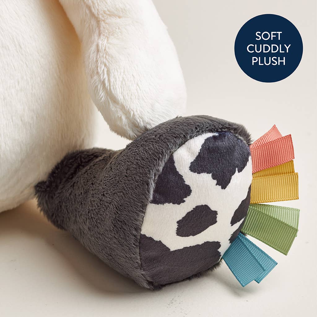 Sweetie Snuggles™ Plushies