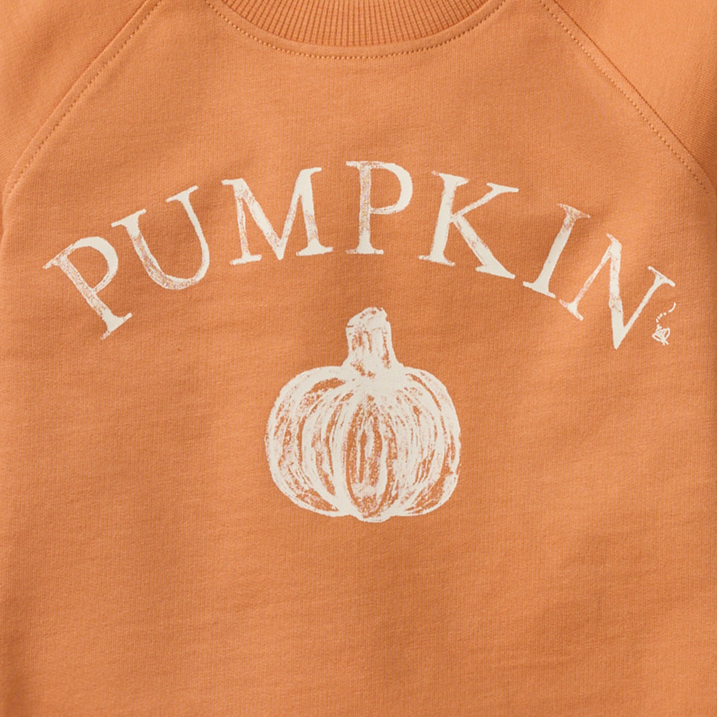 Pumpkin Baby & Toddler Organic Cotton Crewneck