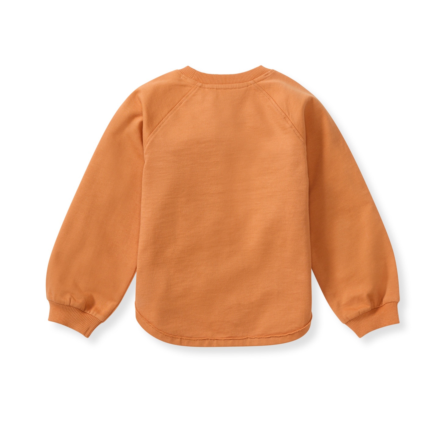Pumpkin Baby & Toddler Organic Cotton Crewneck