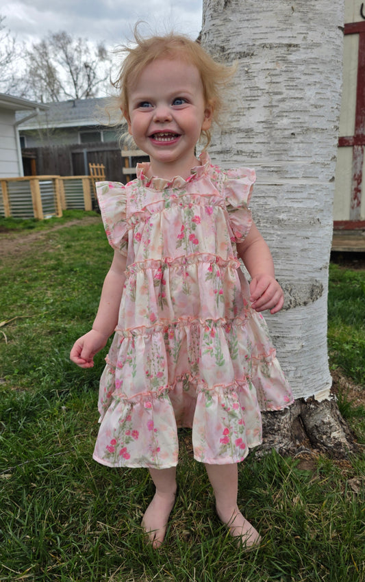 Roses & Ruffles Flutter Dress