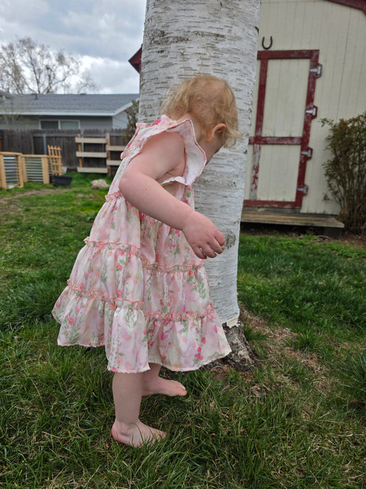Roses & Ruffles Flutter Dress