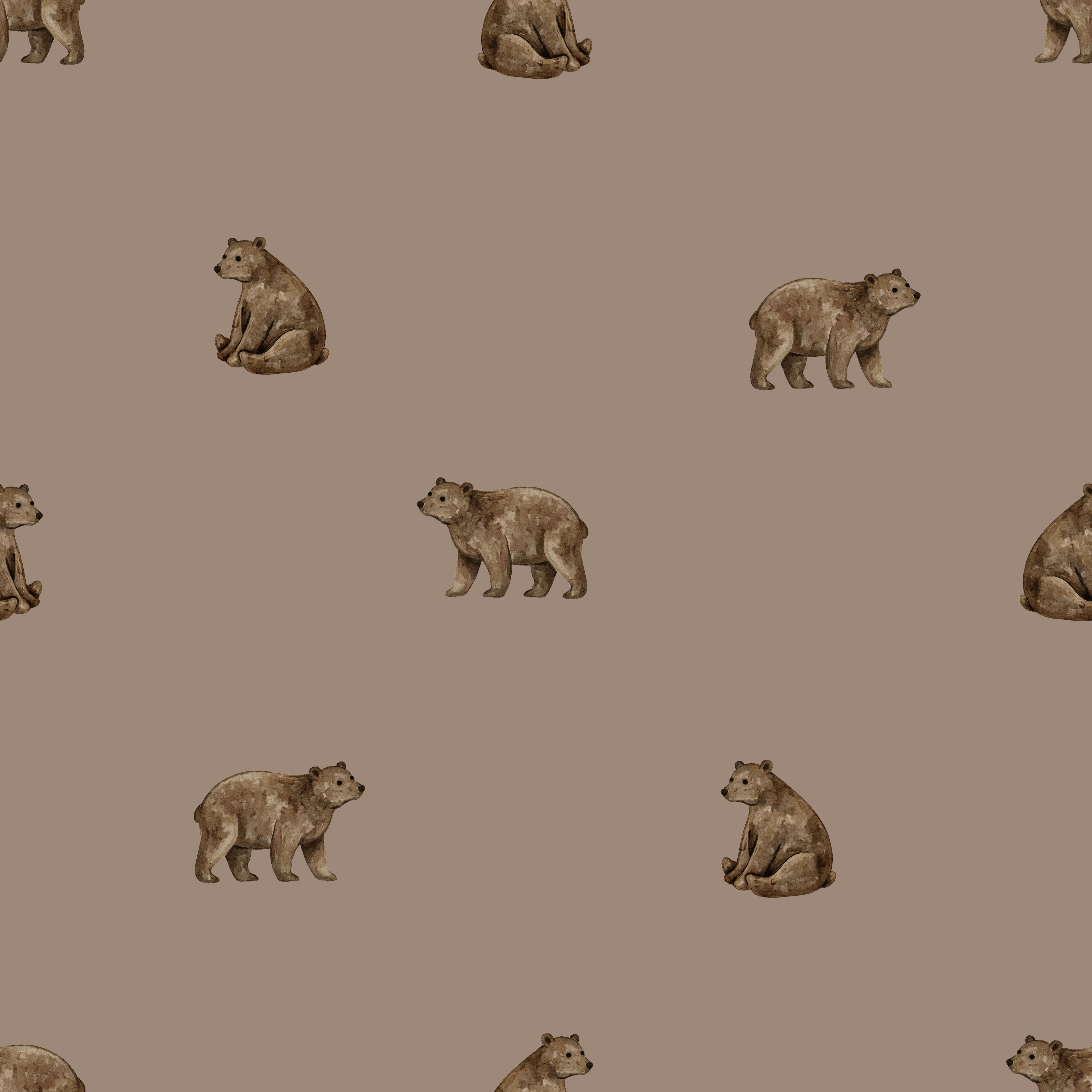 Brown Bear