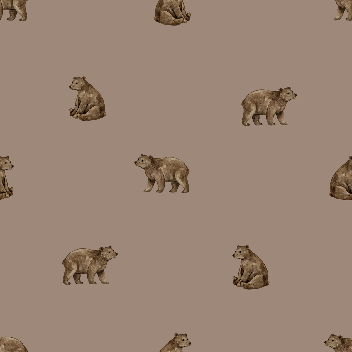 Brown Bear