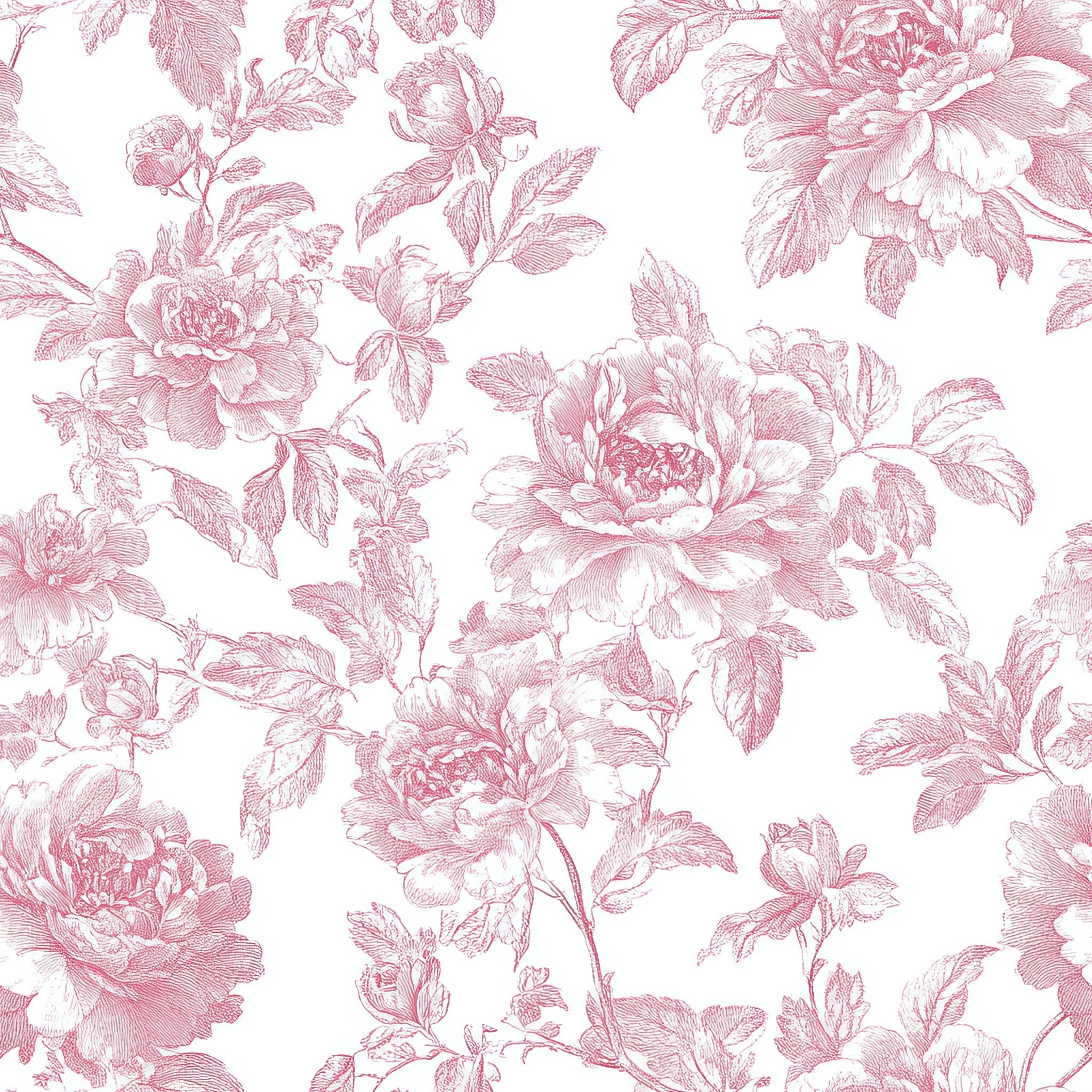 Rose Garden
