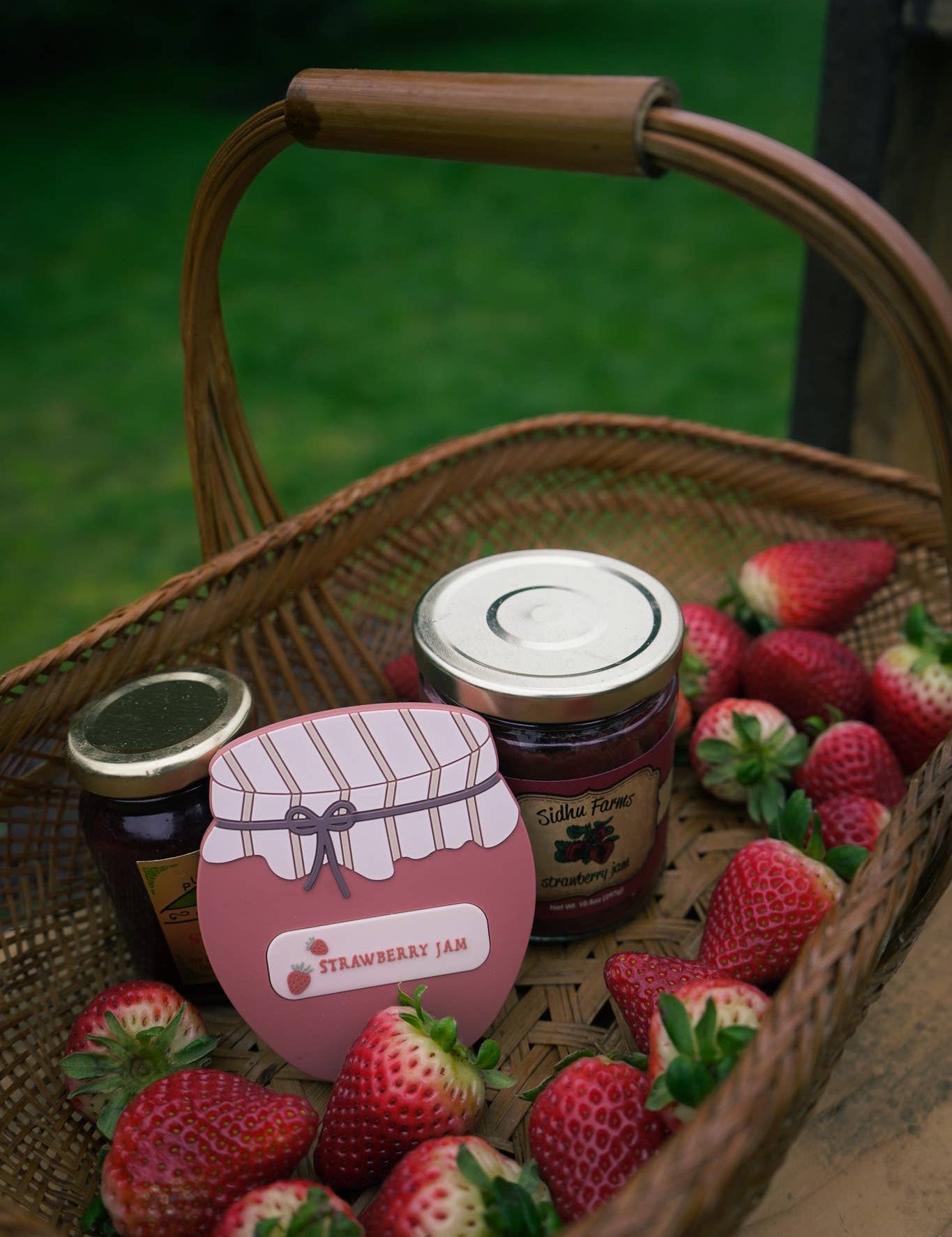 Strawberry Jam Teether