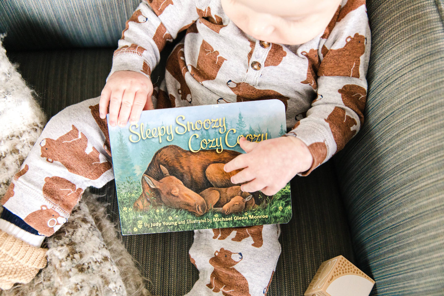 Sleepy Snoozy Cozy Coozy Toddler Board Book