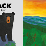 Colors of the National Parks