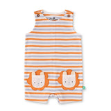 Organic Striped Lion Pocket Baby Romper – Sleeveless
