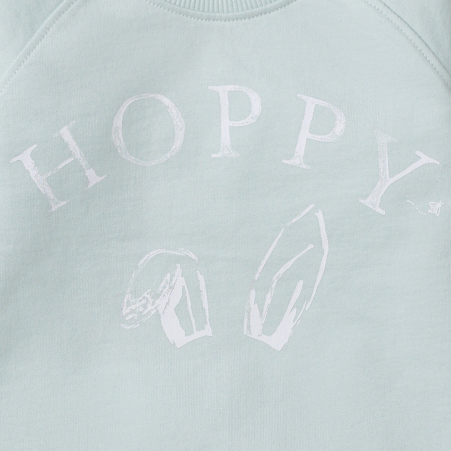 Hoppy Blue Organic Cotton Sweatshirt
