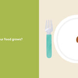 Our Food Grows by Sarah M. White