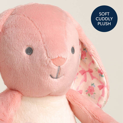 Sweetie Snuggles™ Plushies