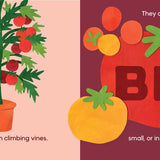 Our Food Grows by Sarah M. White