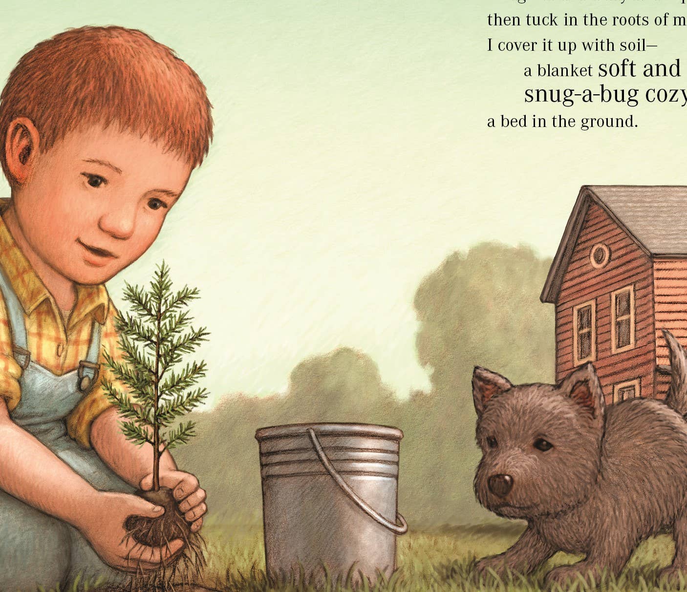 Everybody's Tree Picture Book