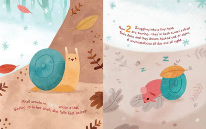 Snoozapalooza Board Book