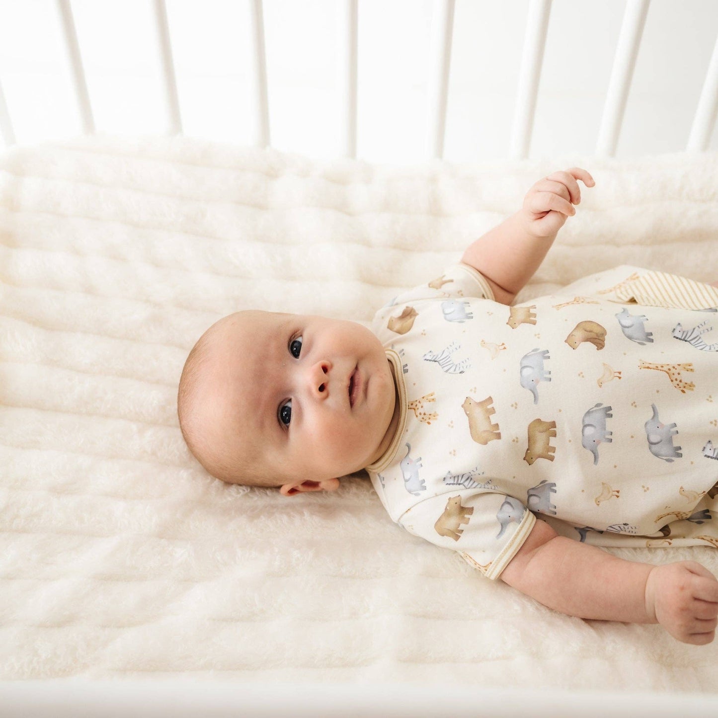 Safari Short Sleeve Bubble