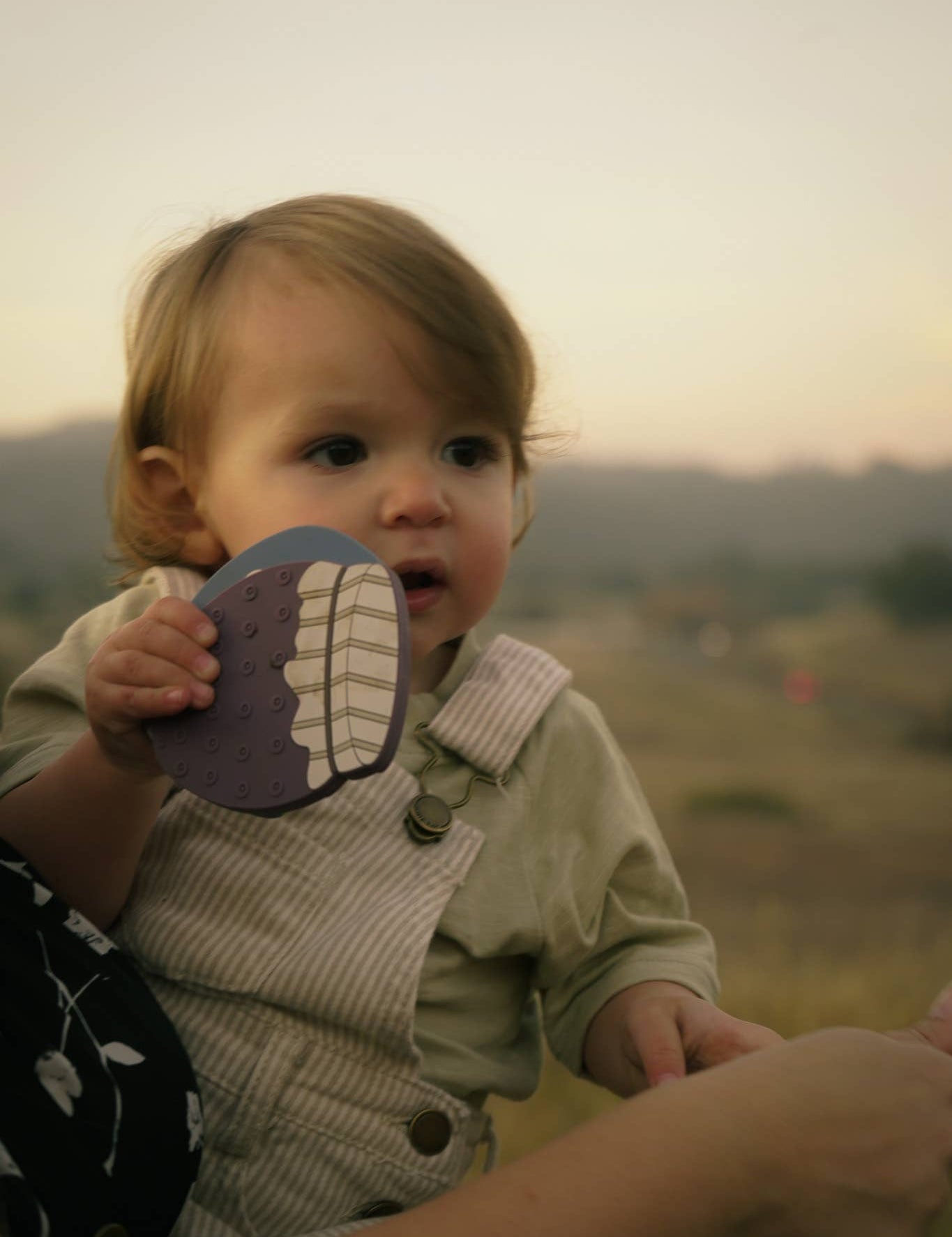 Huckleberry Jam Teether