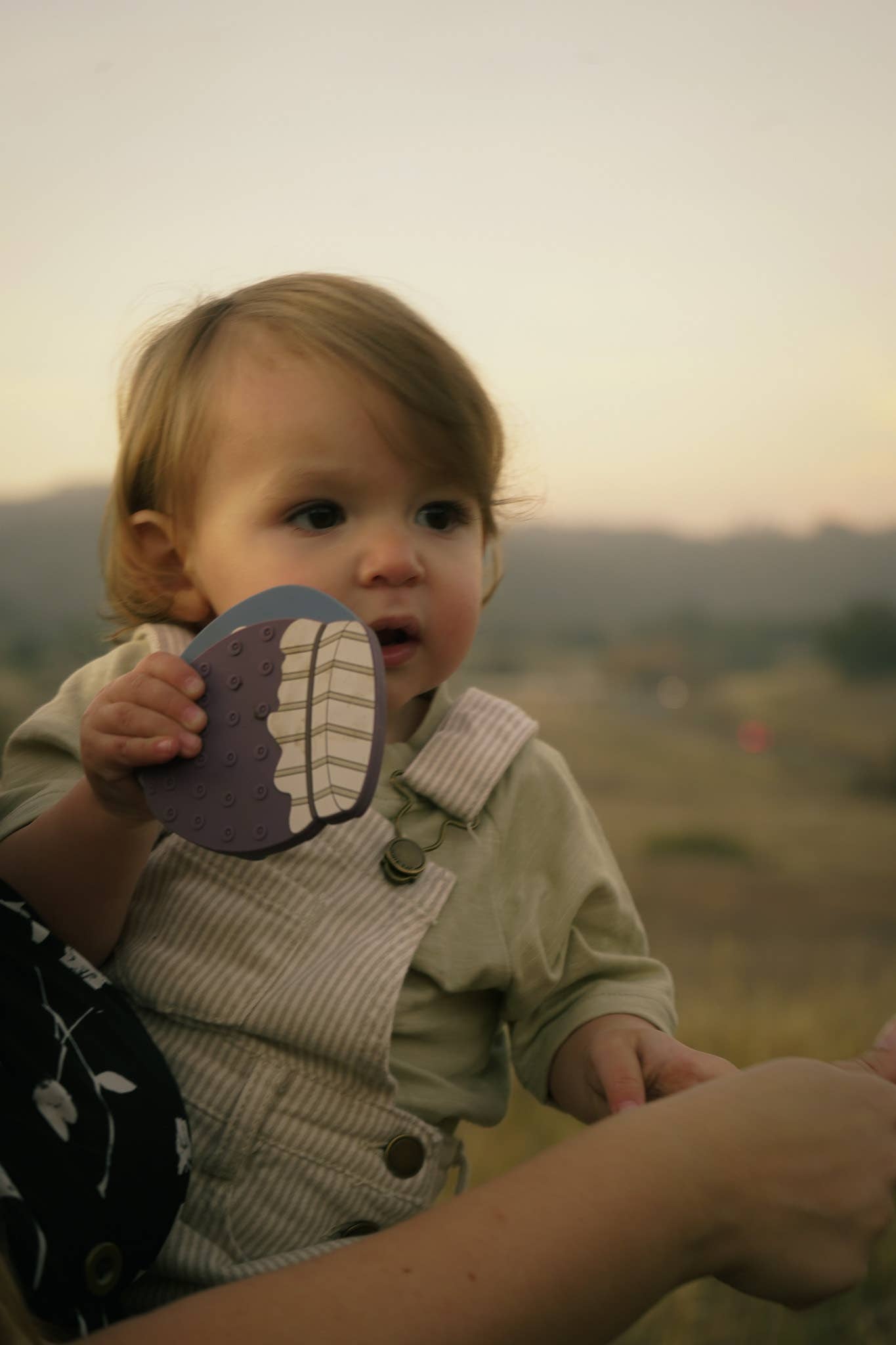 Huckleberry Jam Teether