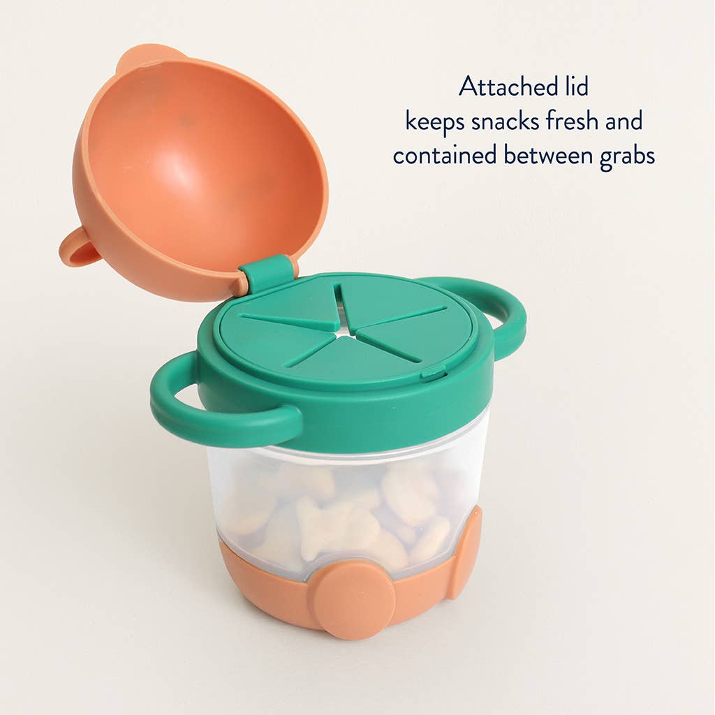 Slide image