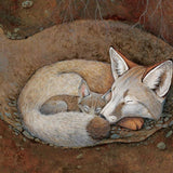 Sleepy Snoozy Cozy Coozy Board Book