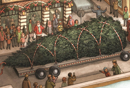 Everybody's Tree Picture Book