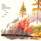 Pine Cone Regrown Picture Book