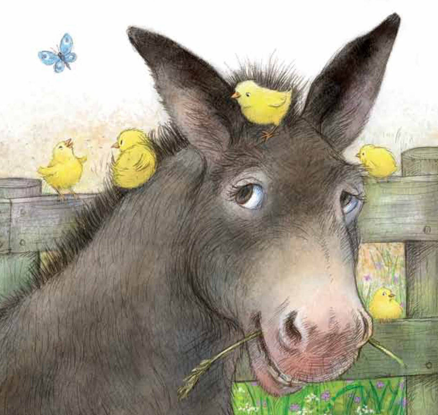 Grandma's Nursery Rhymes Old MacDonald board book