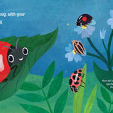 Night Night Ladybug