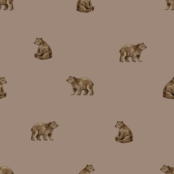 Brown Bear