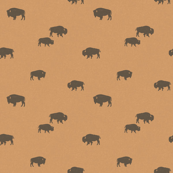 Bison