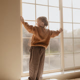 Dark Chocolate Stripe Cotton Pants