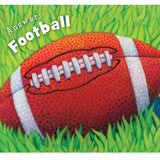 Little Football Board Book