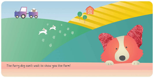 Farm Animals: My First Touch & Feel Book by