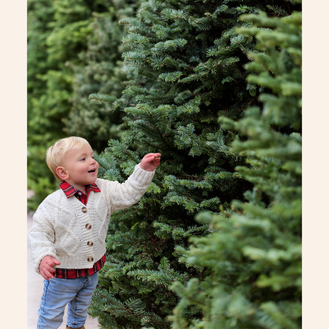 Christmas Red Tartan Plaid Button Up Shirt - Boy's
