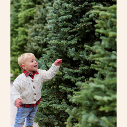 Christmas Red Tartan Plaid Button Up Shirt - Boy's