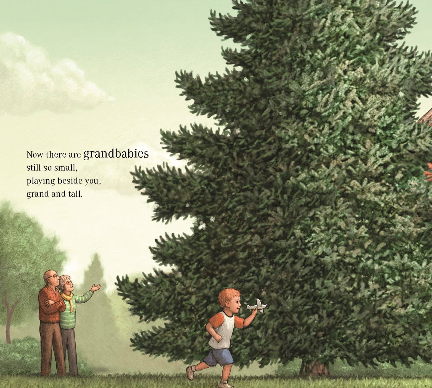 Everybody's Tree Picture Book