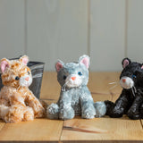 Catsy Kitty Assortment