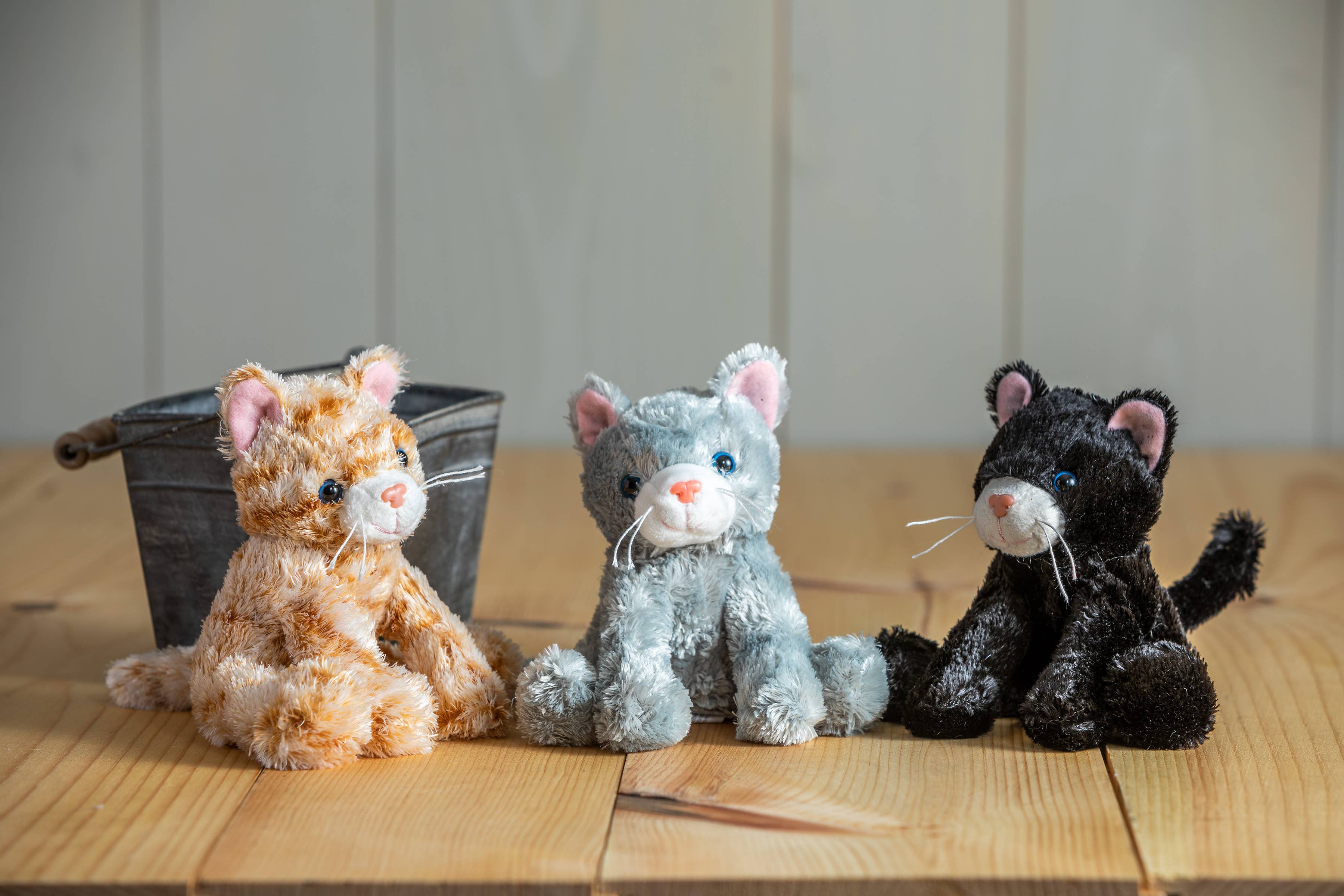 Catsy Kitty Assortment