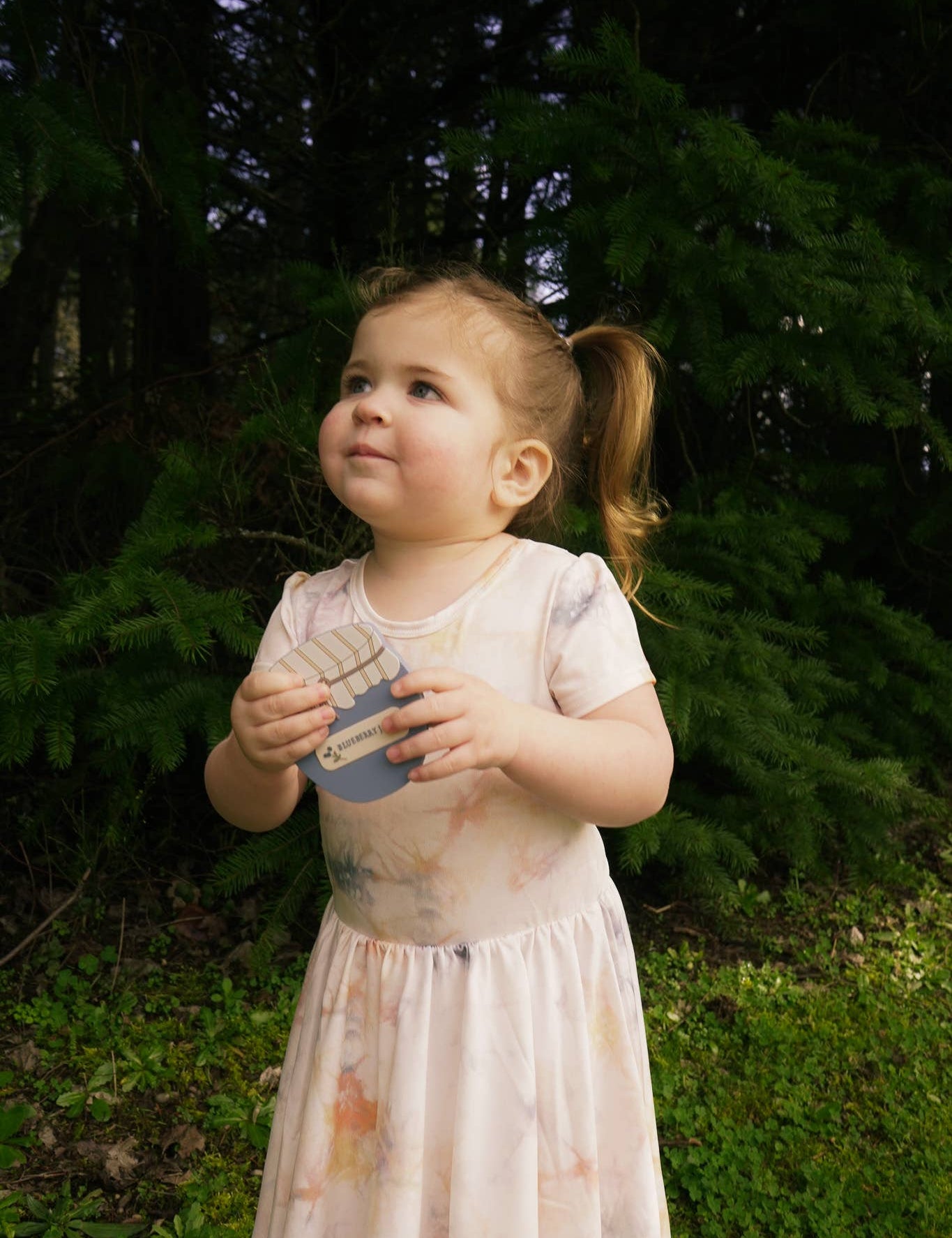 Blueberry Jam Teether