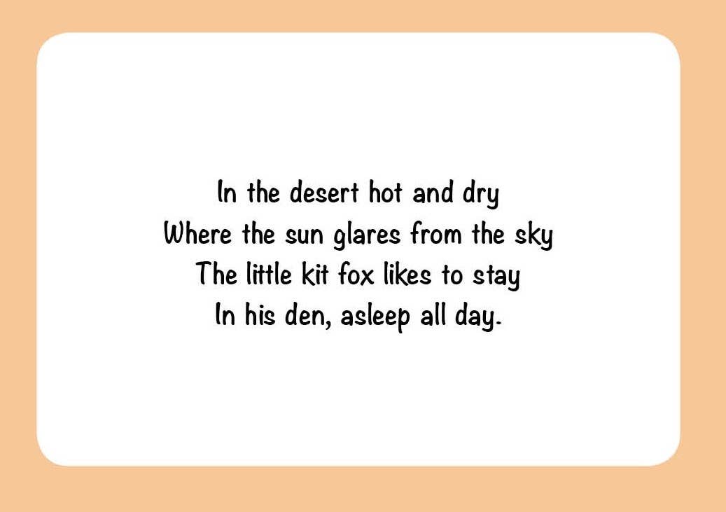 Sleepy Snoozy Cozy Coozy Toddler Board Book