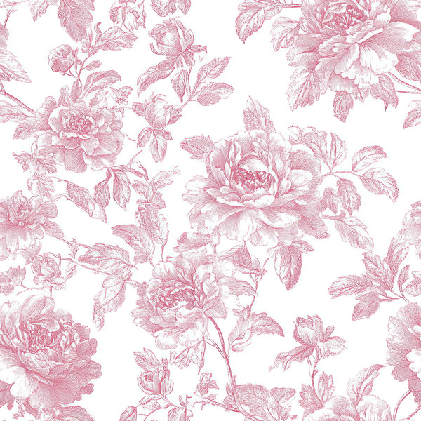 Rose Garden
