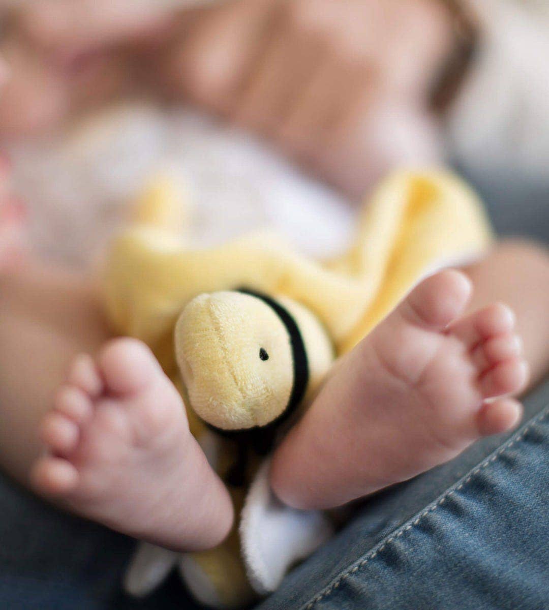 Hold Me Bee Organic Plush Lovey