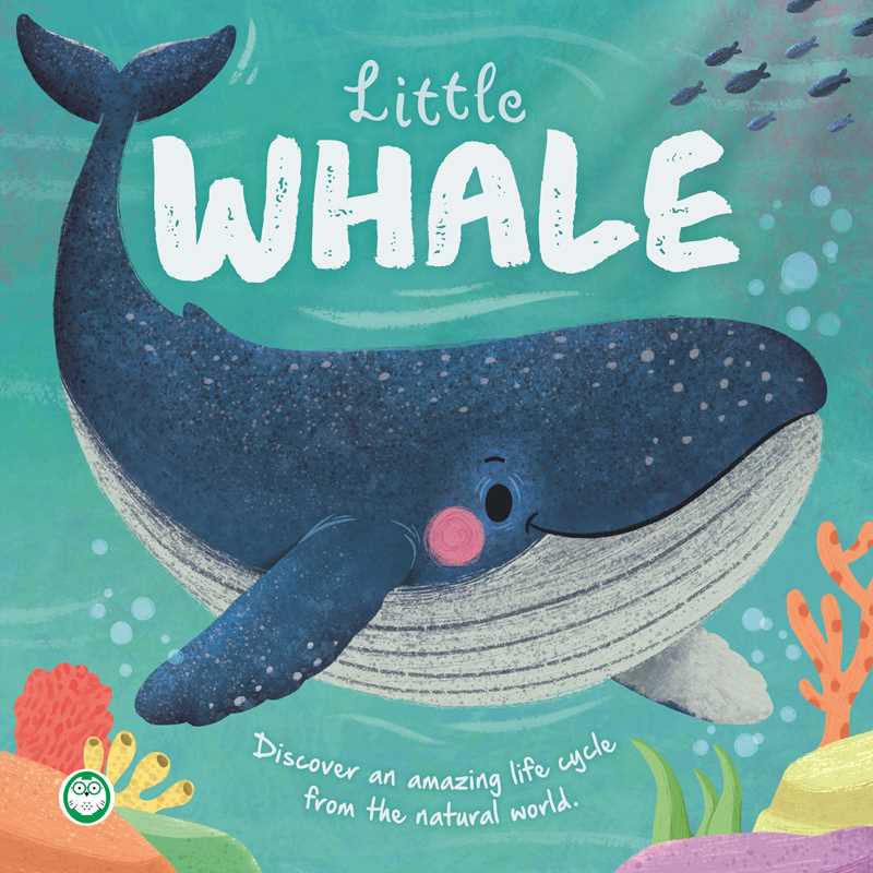 Nature Stories: Little Whale by IglooBooks