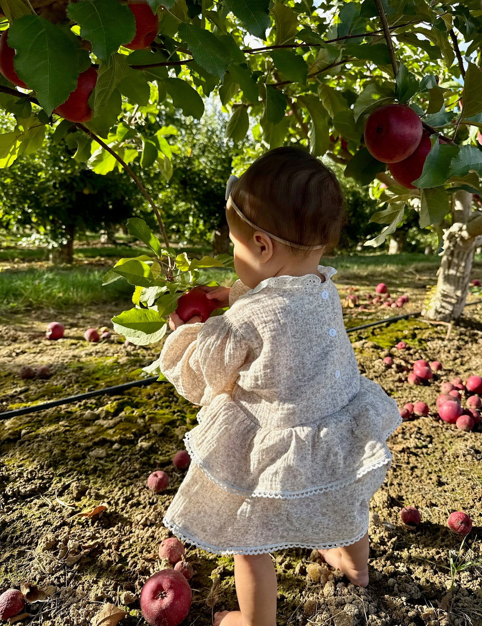 Florence Floral & Lace Bubble Romper