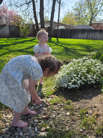Ada Blue Smocked Romper & Dress Matching Set